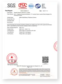 SGS Test Report Page 1