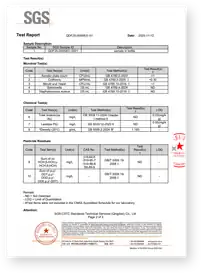 SGS Test Report Page 2