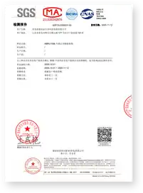 SGS Test Report Page 4