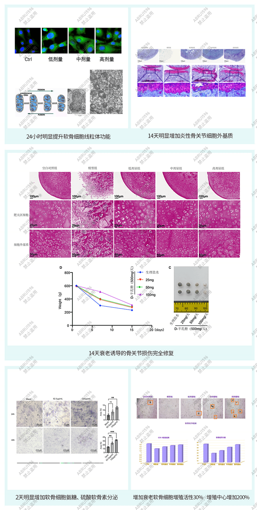 关节修复再生实验图：包含软骨细胞迁移、软骨基质修复、退行性关节软骨显著修复及衰老软骨细胞活性恢复数据