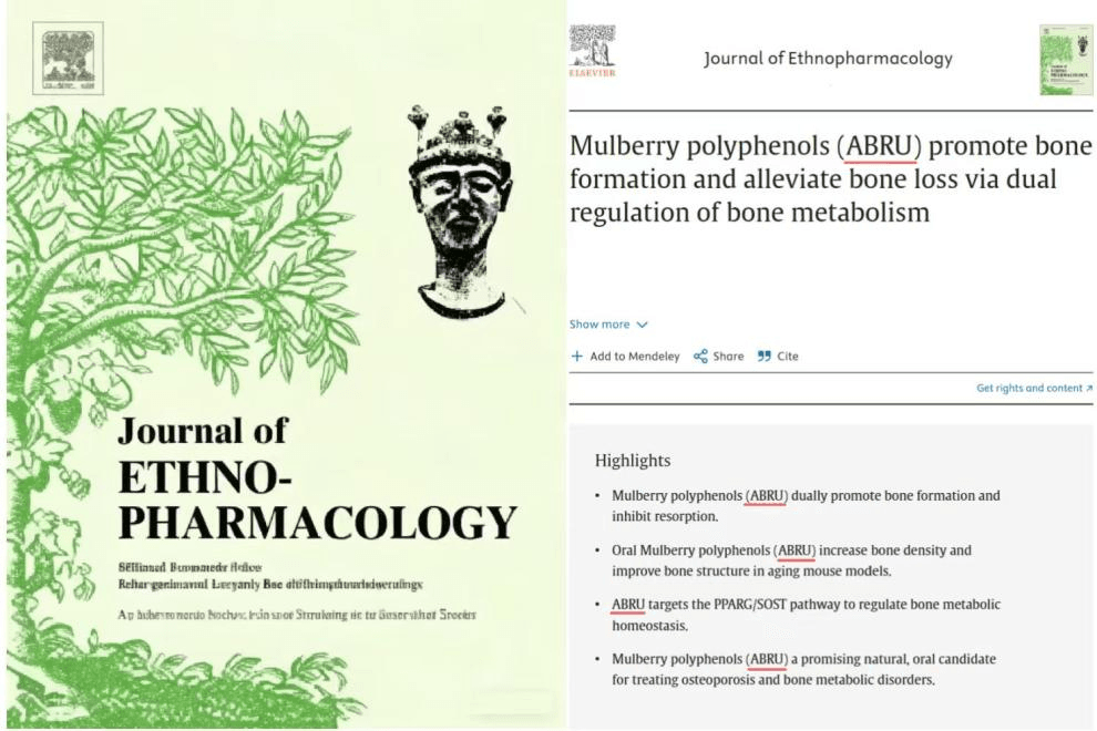 《民族药理学杂志》刊载的 ABRU 相关研究文章预览